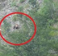 Баба Меца смрази туристи на Райското пръскало (СНИМКА) Баба Меца смрази туристи на Райското пръскало (СНИМКА)