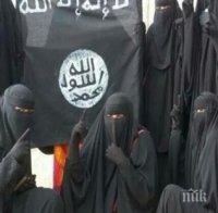 Джихадистите от „Ислямска държава“ се финансирали чрез eBay

