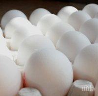 700 хиляди заразени яйца са внесени във Великобритания