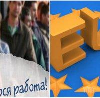 ЕКСКЛУЗИВНО! България би рекорд в ЕС за най-голям спад на младежката безработица