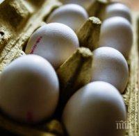 СПЕЦАКЦИЯ! Арестуваха двама в Холандия заради заразените яйца, открити в 12 държави