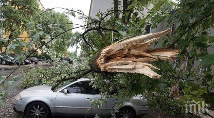 ураганни ветрове полша убиха човек природната стихията изкорени дървета чехия