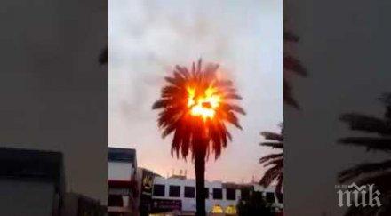 небето палмите кувейт самозапалват жегата температурите чукнаха градуса видео