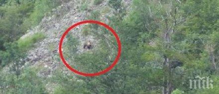 баба меца смрази туристи райското пръскало снимка