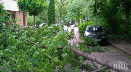 внимание излизайте дома клони дебнат отвсякъде