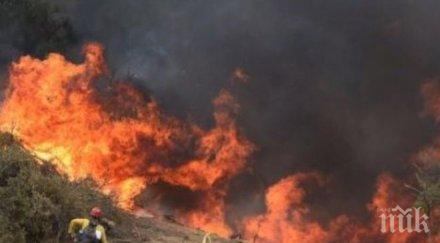 извънредно пожарът софия пламна отново хората търсят помощ