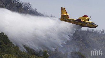 горски пожари опустошиха 2000 хектара франция