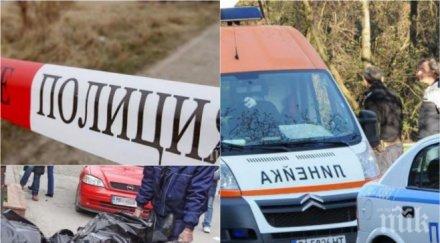 трагедия овчар издъхна балкана