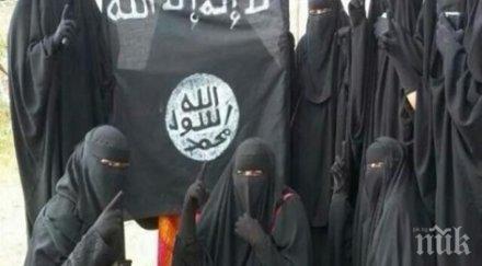 джихадистите ислямска държава финансирали ebay