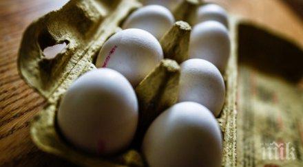 заразените яйца франция намерени испания