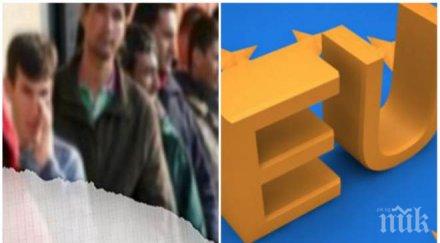 ексклузивно българия рекорд голям спад младежката безработица