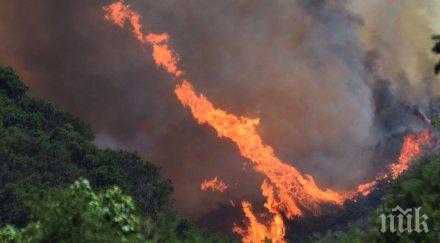 горските пожари гърция продължават