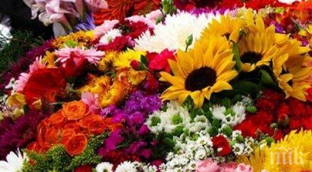 вижте кое вашето цвете зодията