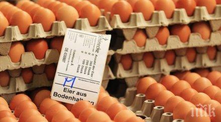 единадесет държави засегнати скандала заразените яйца