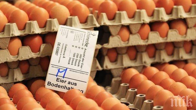 ЕК предупреди: Заразени яйца има на пазара на 15 държави