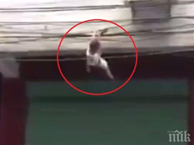 РОДЕНО С КЪСМЕТ: Момченце падна от висок етаж, но оцеля, защото... (ВИДЕО)