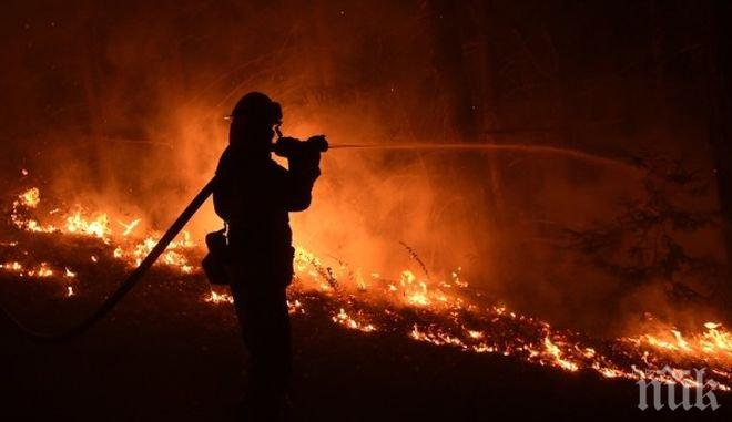 Португалия поиска помощ от Европа за потушаването на горските пожари