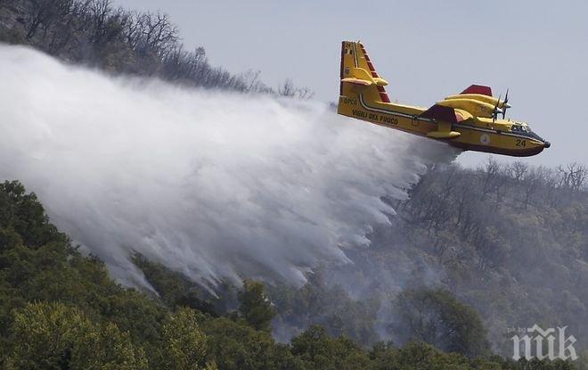 Горски пожари опустошиха над 2000 хектара във Франция