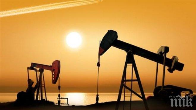 Петрол изтече в териториалните води на Кувейт