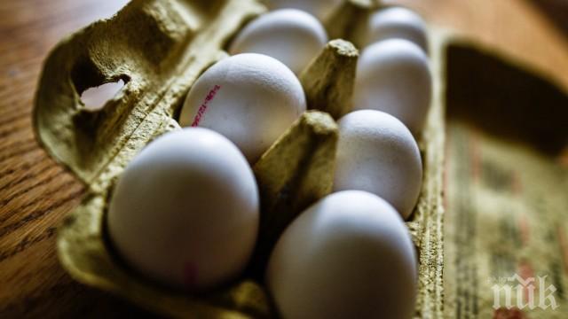 Заразените яйца от Франция, намерени и в Испания 