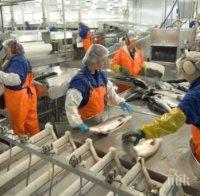 Вдигат 9 модерни фабрики с европари