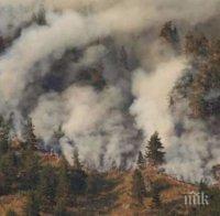 Нов пожар в Шуменско! Пламъците се разрастват бързо