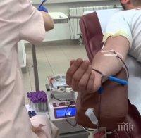Край болниците в Барселона са се образували дълги опашки с желаещи да дарят кръв