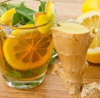 Тези храни ще ни помогнат в борбата с вредните бактерии