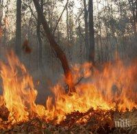 ОПАСНО! Пожарът край Присадец се разраства, може да мине и в Турция