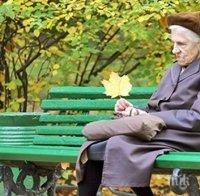 18-годишна джигитка отнесе седнала на пейка възрастна жена 