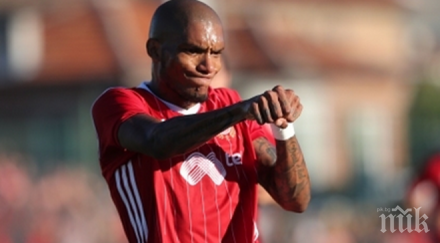 новият любимец сектор култово изригване