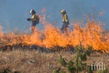 трети ден гасят пожара турската граница