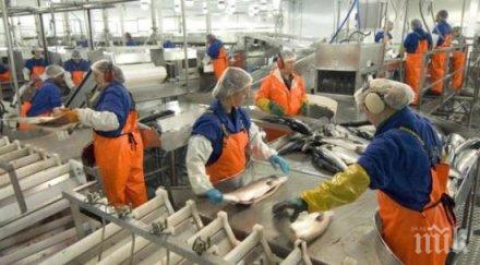 вдигат модерни фабрики европари