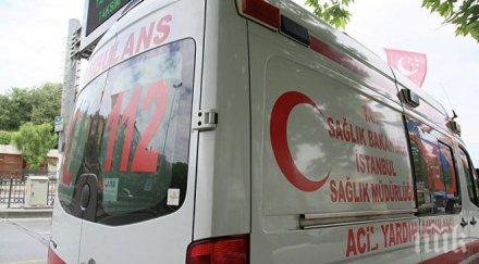 трима души загинаха автобус сблъска крави турция