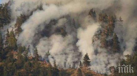 нов пожар шуменско пламъците разрастват