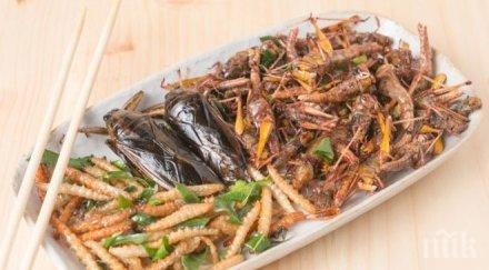 храни насекоми влизат продажба швейцария