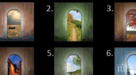 тест вижте какъв сте пътя бихте избрали