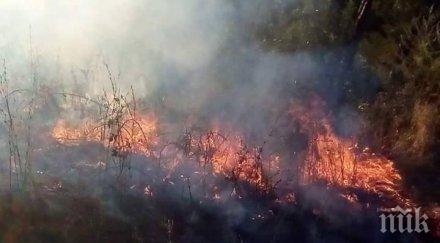 военни включват гасенето пожара тополовградско