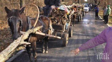 поредните цигански зулуми тълпа разярени роми нападнаха горски плашат убийство