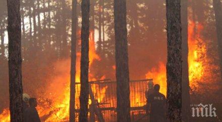 хасковско трепери опасността пожари голяма