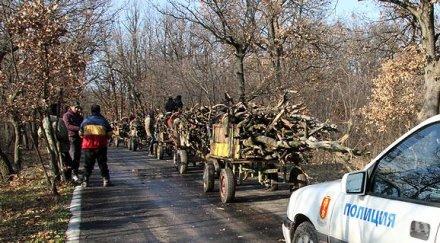беда роми крали дърва налитат полицаи горски
