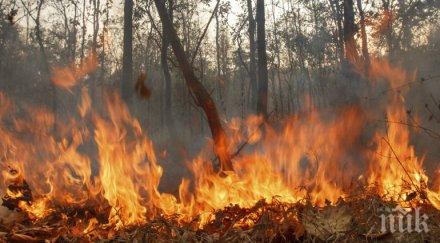 опасно пожарът присадец разраства мине турция