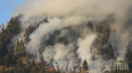 два големи пожара бушуват тополовград