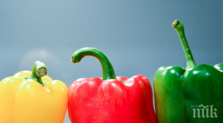 кирково стяга фестивала чушката