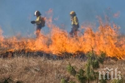Трети ден гасят пожара до турската граница