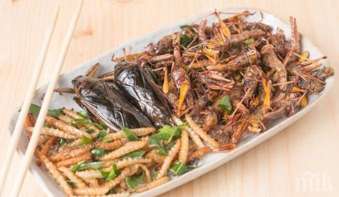 Храни от насекоми влизат в продажба в Швейцария
