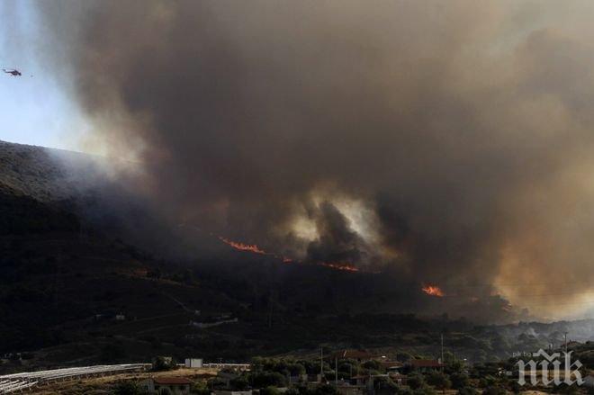 Огненият ужас край Атина продължава! Обявиха бедствено положение, пътищата в района са затворени