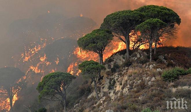 МВнР: Няма данни за пострадали от пожарите в Гърция българи