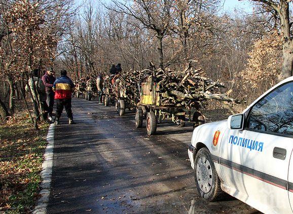 БЕДА! Роми, крали дърва, налитат на полицаи и горски