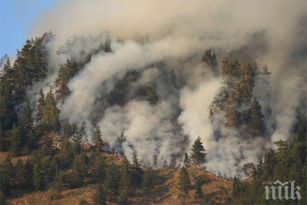 Два големи пожара бушуват край Тополовград